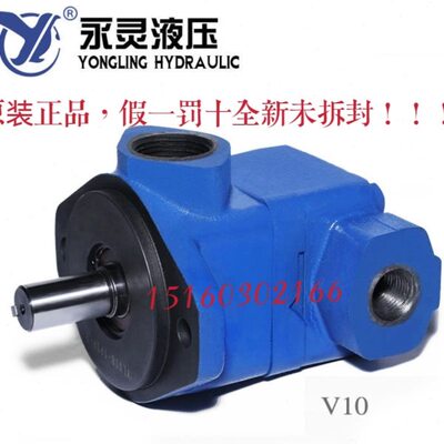YLC永灵叶片泵V10-1P1P 2P 3P 4P 5P 6P 7P-1A-R 1B/1C/1D-R L 20