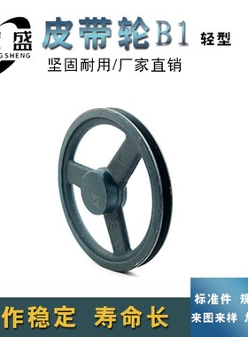 三角皮带轮 B型单槽 B1型 10B1 外径约250mm 10英寸 可代加工