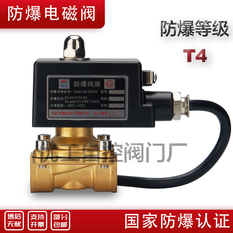 防爆电磁阀天然气矿用水阀气阀控制管道常闭dn15 25 5012v220v24v