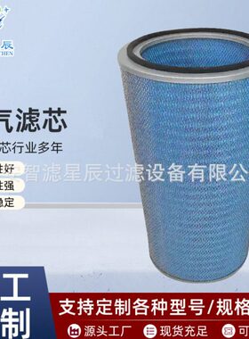 除尘滤芯P190818防火阻燃空气滤芯耐温空气除尘滤筒粉尘滤芯