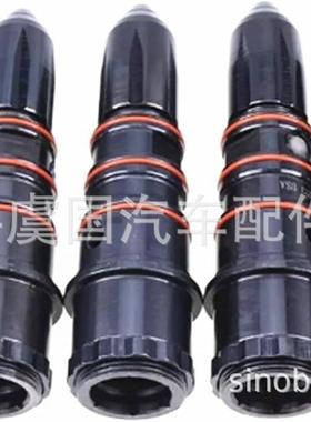 3030445 3047973共轨喷油器3054233