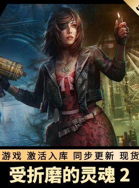 受折磨的灵魂2 STEAM激活码 CDKEY 国区全球区 全DLC PC游戏