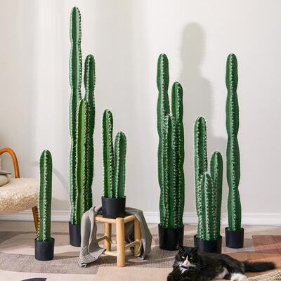 kt大型仙人掌量天尺室内橱窗造景装饰绿植商场景观植物盆景摆