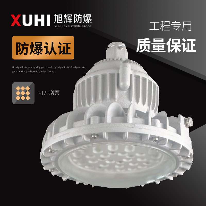XHD610免维护 LED防爆灯70W80W100Wled防爆灯 防爆路灯防爆照明灯