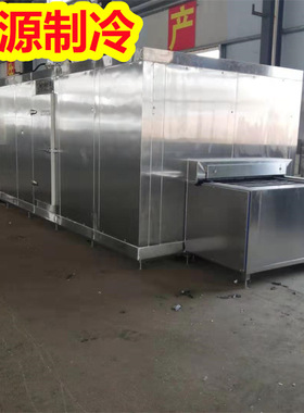 连续式虾饺速冻机 全自动面食急冻机 大型不锈钢叉烧包急冻流水线