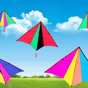 新款网红飞悦1.6小彩燕1.1小轻体风筝微风王PA31专业大人儿童风筝