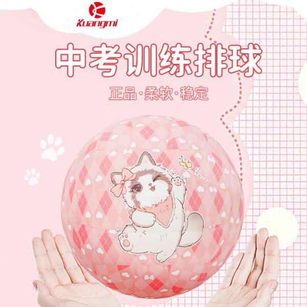 狂迷萌宠猫粉色排球5号中考学生专用刻字生日礼物青少年软皮硬排