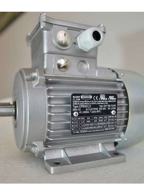 供应意大利BONORA电机  IE2电机 IE3电机