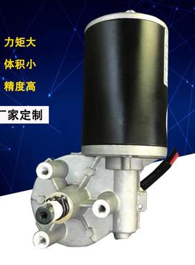 蜗杆减速电机24v塑胶齿轮大扭矩高转速dcmotor大功率减速电机