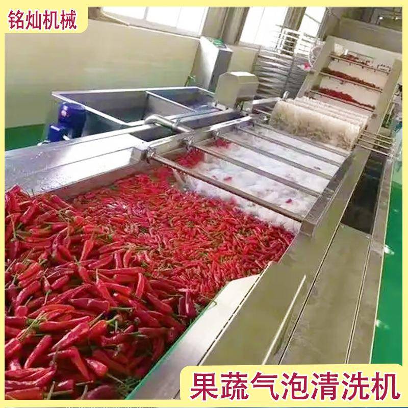 山楂全自动设清洗机PEA葡萄气泡续清洗备连果蔬高大型压清洗机器