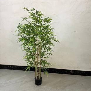 现栽货仿真春绿竹盆栽植盆盆摆件大型植物装饰景假绿植春竹盆栽造