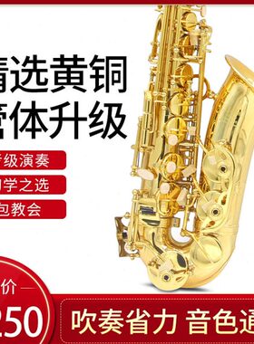 新宝萨克斯乐器中音降E调弯管萨克斯风黄铜初学业余专用AS200型