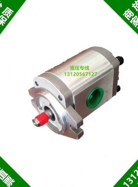 P208RP01DT P206RP01DT P204RP01DT 台湾台成齿轮泵