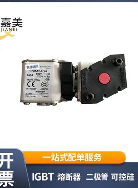 170M3464 170M3465  快速熔断器  电子元器件 型号齐全 量大价优