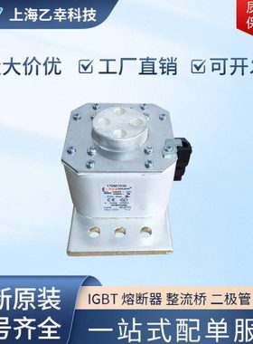 巴斯曼熔断器  170M6969 170M6970 170M7001 170M7026 170M7028