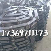 P38.150.8弯板带耳大节距输送链流水线链板线链条P125p80P100P160