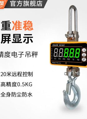 晋阳湖便携式电子吊钩秤迷你型吊磅300kg2吨1T手提高精度挂钩秤