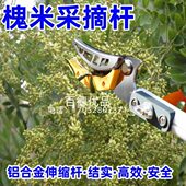 槐米采摘神器高空方便铝合金伸缩防滑耐磨剪柿子摘果3米5米长干杆