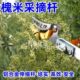 槐米采摘神器高空方便铝合金伸缩防滑耐磨剪柿子摘果3米5米长干杆