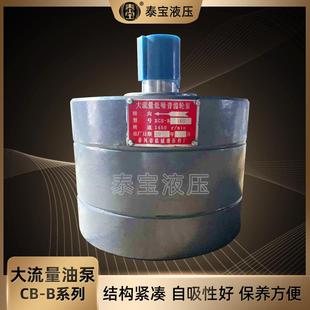 噪音大流量齿轮油泵 500 型号齐全 B系列160 大流量油泵DXCB
