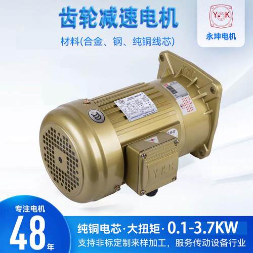 刹车电机永坤斜齿轮减速电机 三相380V立式安装2.2KW交流马达电机
