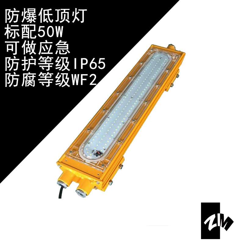 海洋王BFC8411吸顶式LED防爆泛光灯BFC8411LED防爆50W吸顶灯