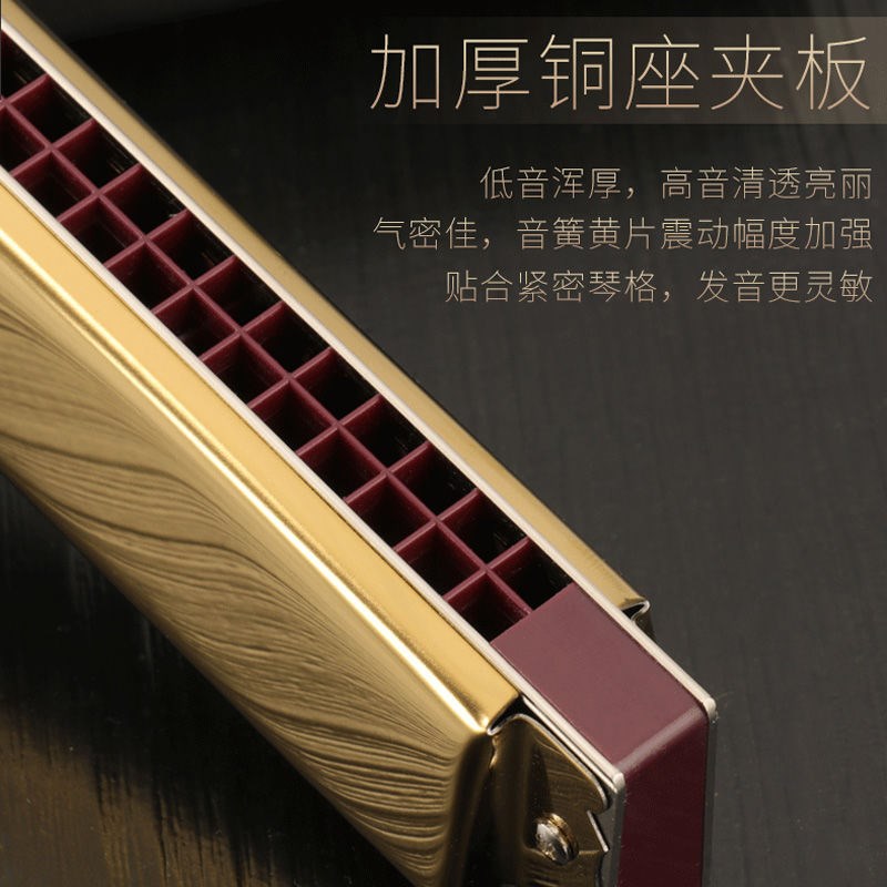 进口音簧东d方鼎复音口琴28孔高级T28-1专业演奏级复音#CABDEFG调