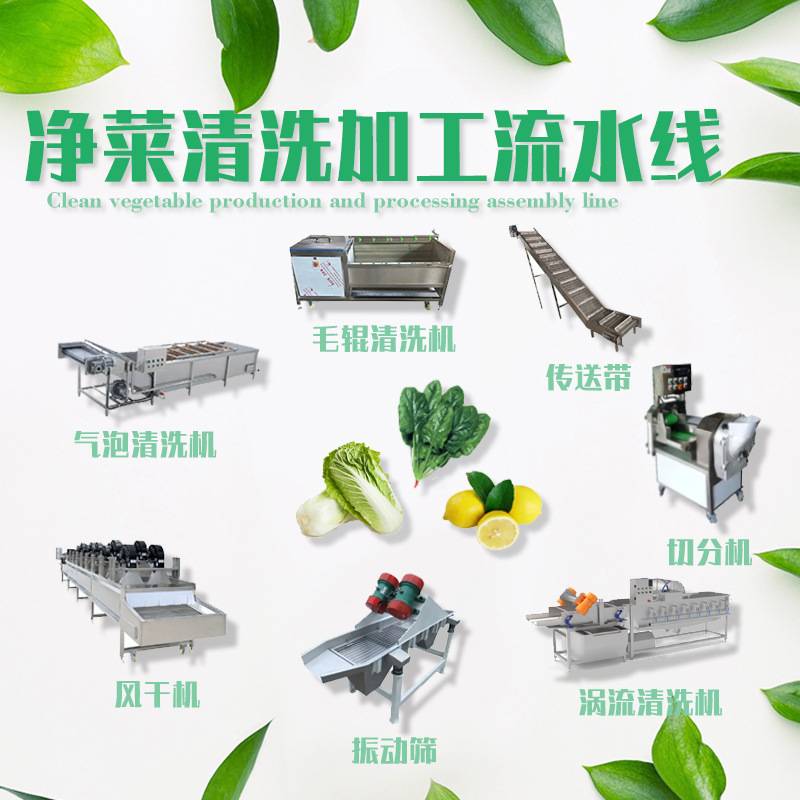 中央厨房蔬菜清洗机 全自动净菜加工清洗流水线 果蔬清洗成套设备