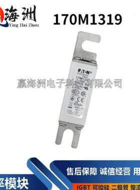 巴斯曼保险丝 快速熔断器170M1319 170M1320 170M1321原装