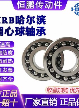 哈尔滨调心球轴承 2305 2306 2307 2308 2309 2310 ATN AKTN 轴承