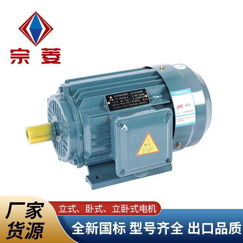宗菱YE2三相异步电动机0.12-315W国标电机全铜380v马达厂家,电子元器件市场,电机/马达,淘宝优惠券,粉丝福利购,淘宝优惠卷
