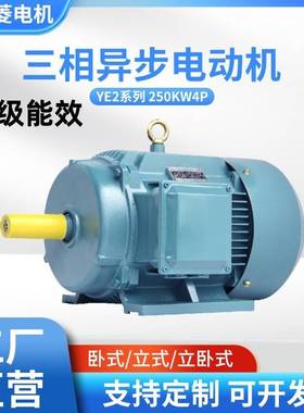 工厂直供三相异步电动机YE418.5W4P(18.5千瓦4极)多款交流电机
