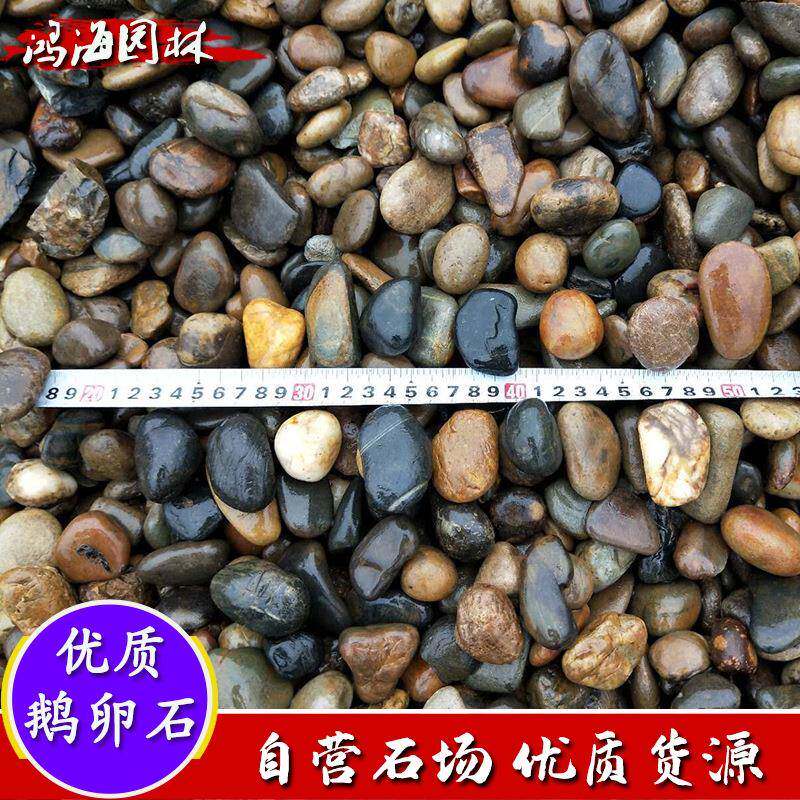 园林景观石鱼池鱼缸造景石头铺面石铺路石鹅卵石彩色鹅卵石