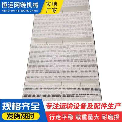 果蔬清洗机塑料链板 无链条式刮板机塑料链板 尼龙平板传送带