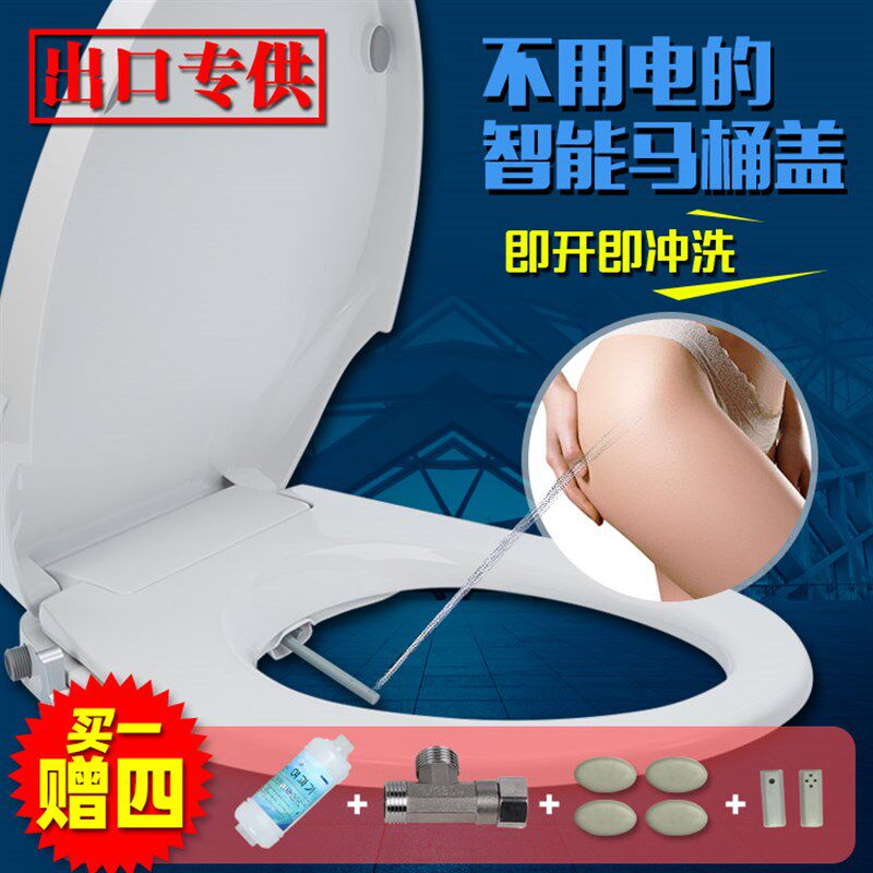 不用电冲水马桶盖冲洗智能坐便器妇洗器女性洁身器无电安全座便