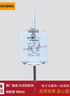 熔断器170M5882 170M5883 170M5884 170M5885 170M5886 170M5887