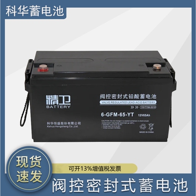 精卫蓄电池UPS电源6-GFM-65-YT铅酸免维护12V65AH厂家直销