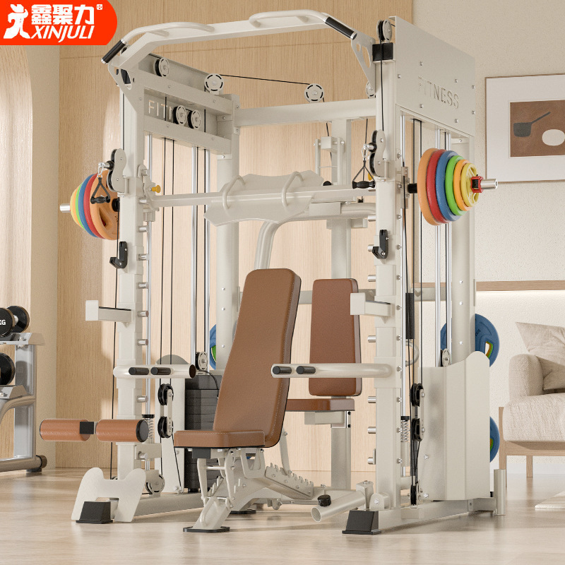 飞鸟龙门架健身器材家用史密斯综合训练器多功能一体卧推深蹲架