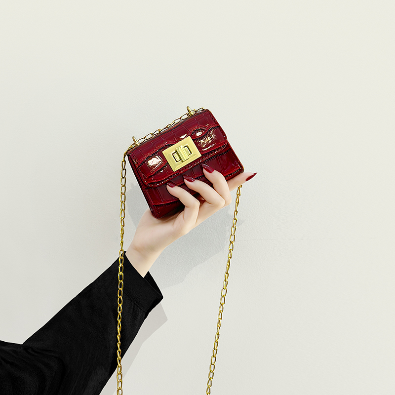 高级质感迷你小包包l女春夏2025新款小众设计链条斜挎包女士口红
