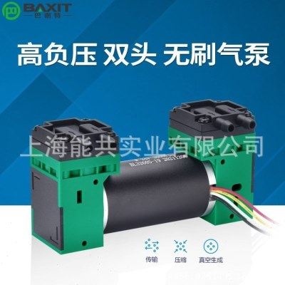 双头微型真空泵12V负压泵24V小型打气泵可调速无刷压力泵G4BL-2泵,五金/工具,水泵,淘宝优惠券,粉丝福利购,淘宝优惠卷