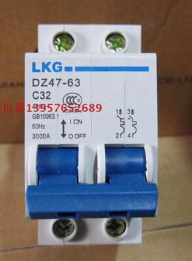 LKG 家用小型断路器DZ47-63 空气开关2P 3A5A10A16A20A32A40A63A