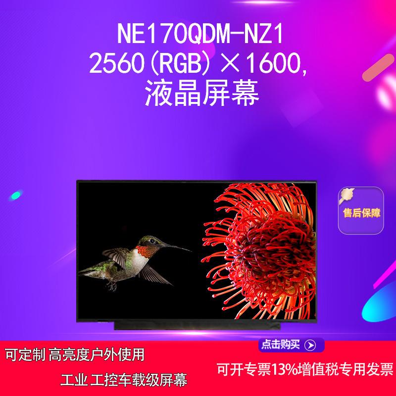 NE170QDM-NZ1 2560(RGB)×1600,液晶屏幕