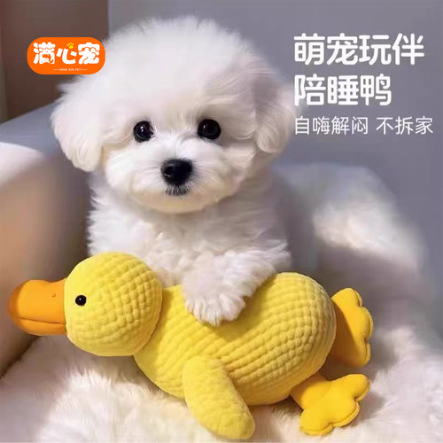 发声鸭子狗狗玩具自嗨解闷耐磨