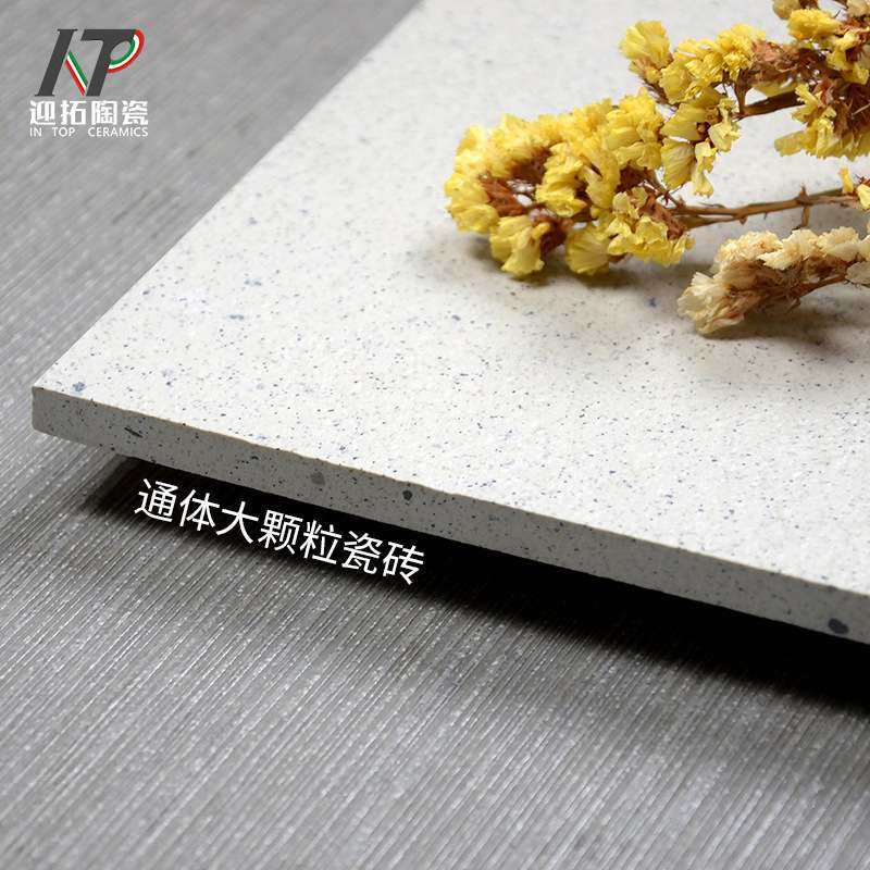 通体大颗粒瓷砖600x600仿古地砖奶茶店服装店商铺防滑地板砖灰