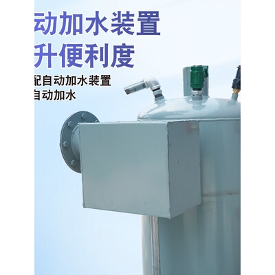 锅炉柴煤两用燃煤农村取暖供暖蒸汽烧水家用采暖炉节能养殖场专用