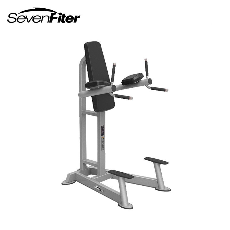 施菲特SF3215 商用双杠站立式垂直抬腿提膝练腹架健身房训练器材