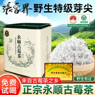 莓茶张家界特级野生龙须芽尖官方旗舰店梅茶永顺正宗土家养生茶