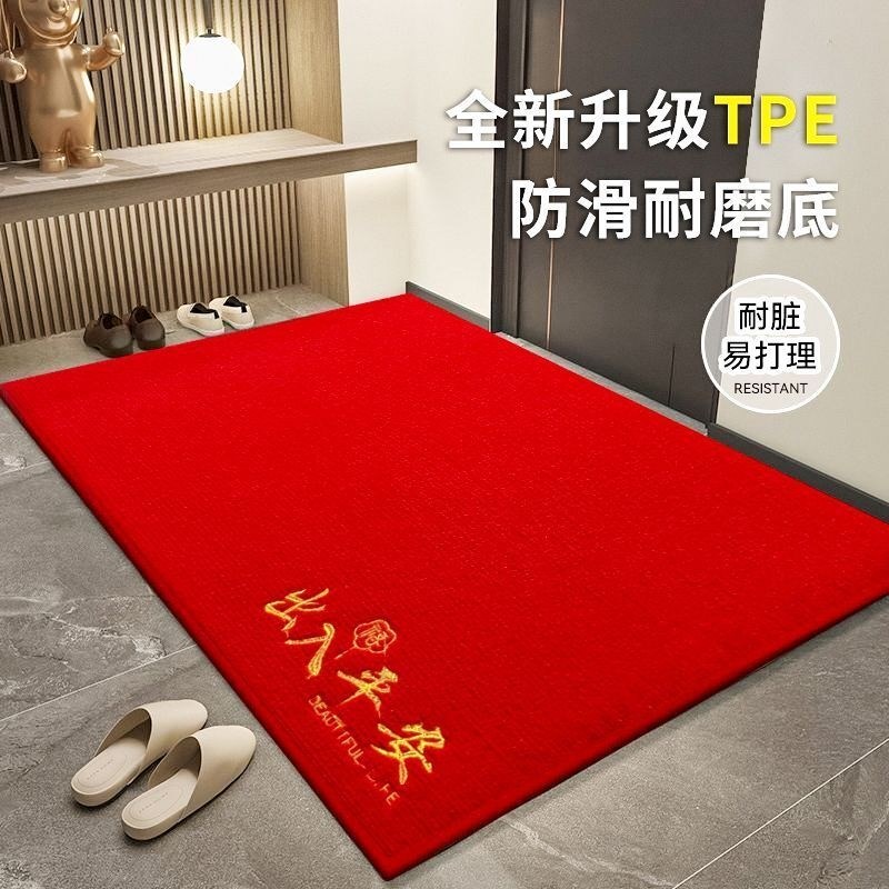 新款入户门垫地垫进门口脚垫家用门外地垫乔迁新中式地毯玄关垫子