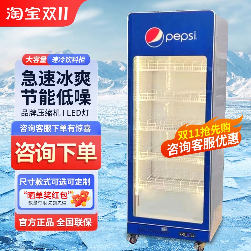 啤酒展示柜网红酒水柜饮料柜冷z藏立式冷冻大单门双门酒吧商用冷