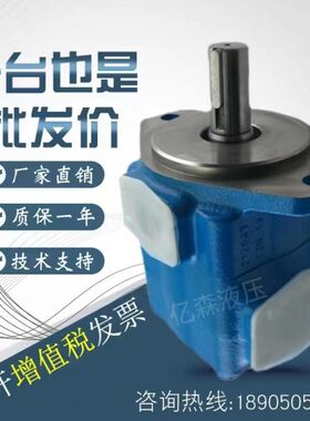 威格士叶片泵25V-10A/12A/14A/15A/25A-1A/B/C/D-22R 油泵